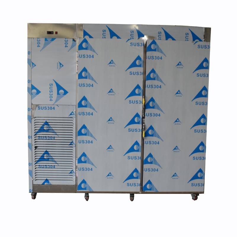 Customized Double Door Upright Freezer