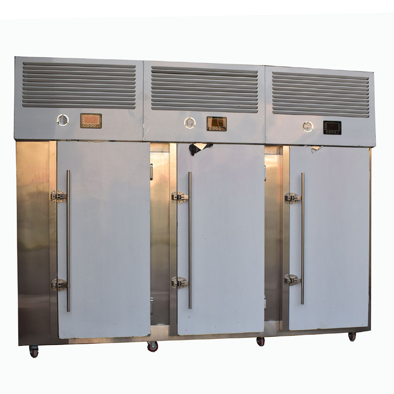 Meat food blast chiller
