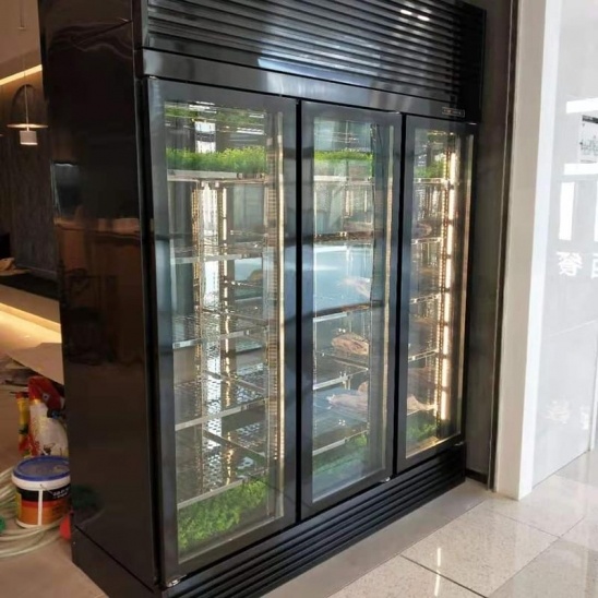 Trois porte en verre noir acier inoxydable de boeuf vitrine 