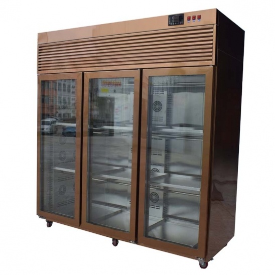 Trois portes en verre, en acier inoxydable 304 Vent Goose affichage congélateur 