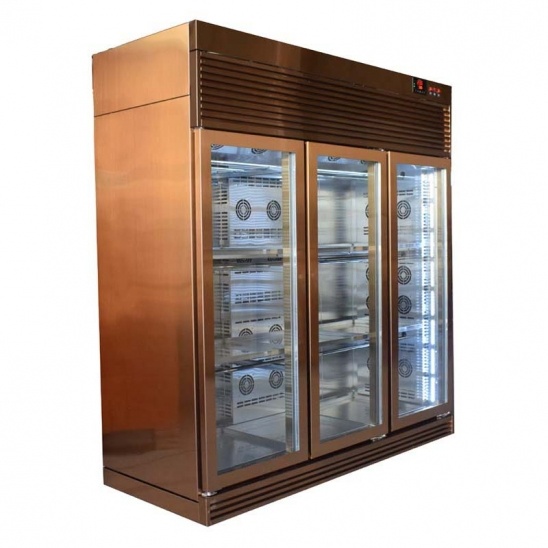 Trois portes en verre, en acier inoxydable 304 Vent Goose affichage congélateur 