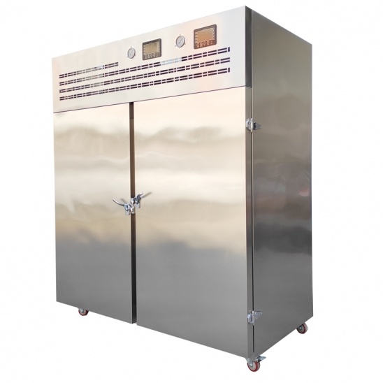 moins 40 degrés Celsius double porte commerciale armoire de congélation rapide en acier inoxydable 