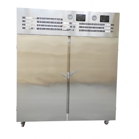 moins 40 degrés Celsius double porte commerciale armoire de congélation rapide en acier inoxydable 