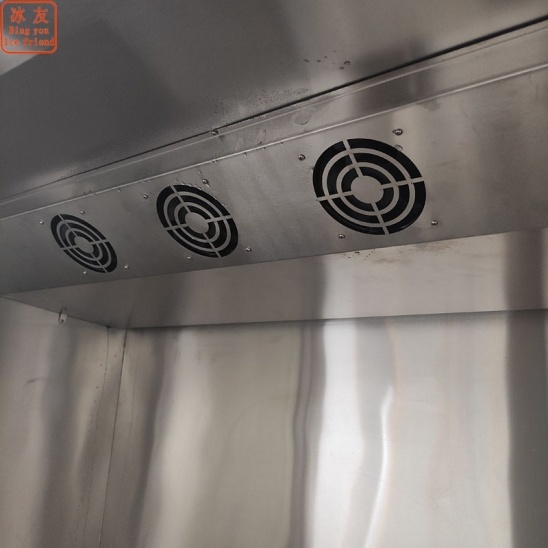 moins 30 degrés Celsius commercial refroidisseur d'air machine de congélation d'acier inoxydable 