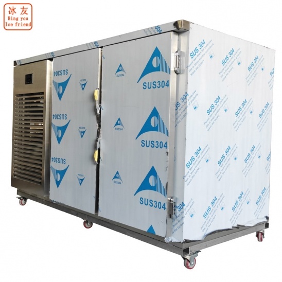 congélateur rapide à basse température à double porte horizontal dédié personnalisé 