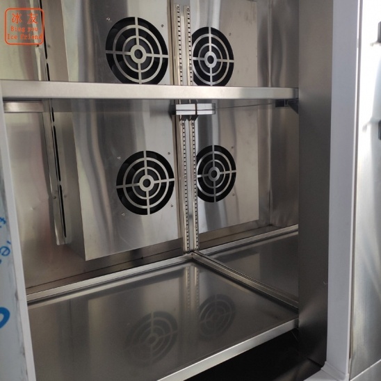 congélateur rapide à basse température à double porte horizontal dédié personnalisé 